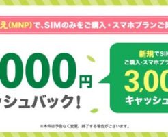 UQモバイルキャンペーン2020年10月