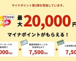 マイナポイント第2弾