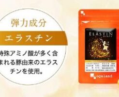 「エラスチン」