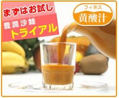 「豊潤サジー」