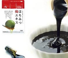 梅翁園「はちみつ梅エキス」