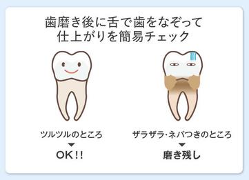 MISOKA（ミソカ）「歯ブラシ」磨き残しがないか、舌触りでセルフチェック