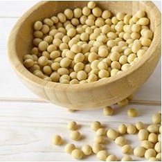 ソイプロテイン大豆