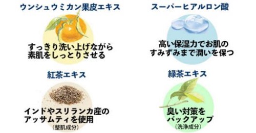 体臭対策ボディソープ「薬用からだまるごとデオ・ソープEX」保湿成分