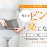 BSファイン「ウエストベルト」