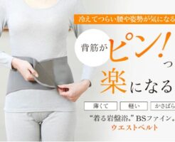 BSファイン「ウエストベルト」