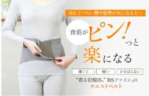 BSファイン「ウエストベルト」