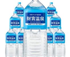 財宝 温泉水 天然アルカリ温泉水 財寶温泉 2L×9本